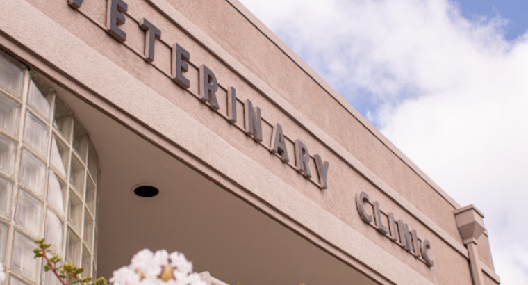 The Veterinary Clinic