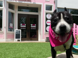 Woof Gang Bakery & Grooming Beltline
