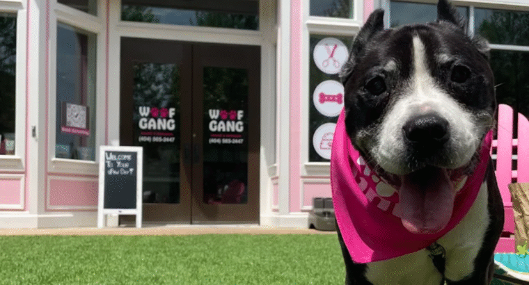 Woof Gang Bakery & Grooming Beltline