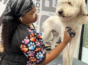 Salty Dawg Pet Salon + Bakery – Westside Atlanta