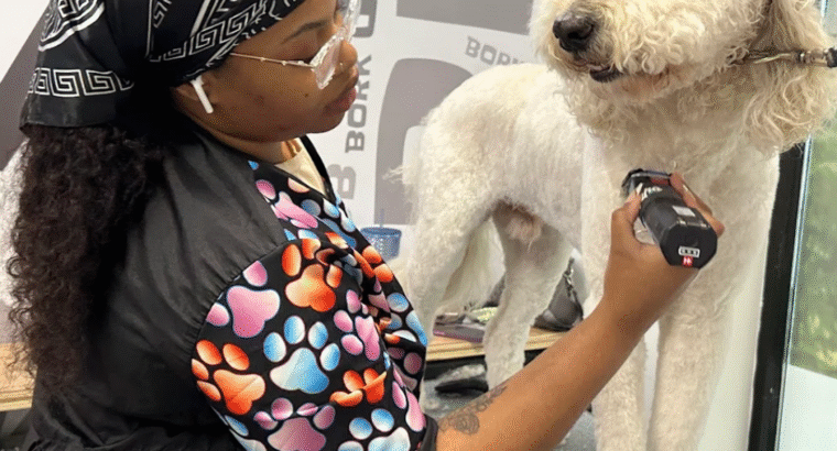 Salty Dawg Pet Salon + Bakery – Westside Atlanta